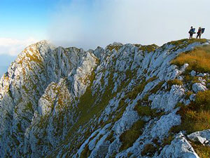 Piatra Craiului National Park
