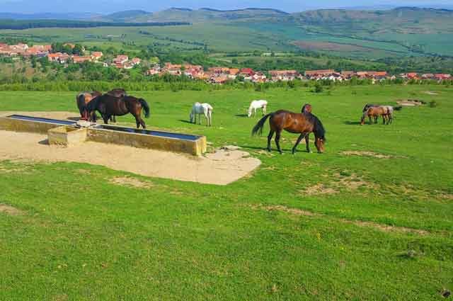 4WD tours in Romania