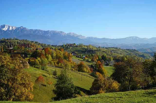 Hiking in the Carpathians