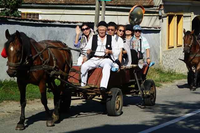 Horse driven wagon