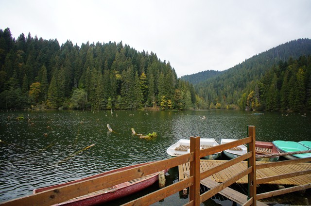 lacul rosu