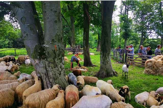 Off-road tour in Romania