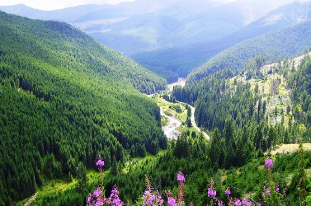 pasul prislop