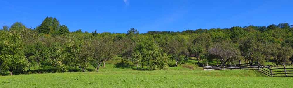 Sibiel village