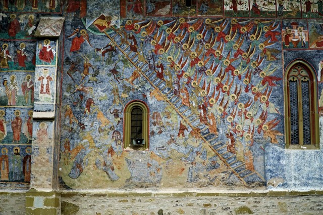 sucevita