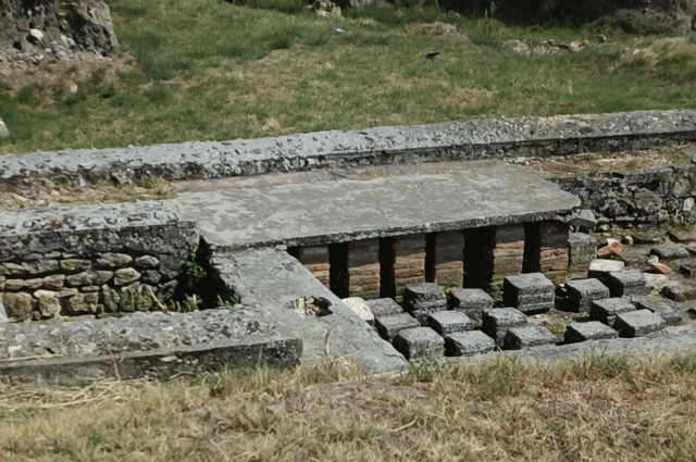 sucidava