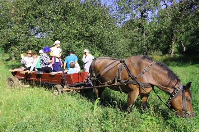 Tour in Transylvania