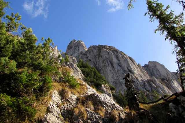 Trekking in Brasov