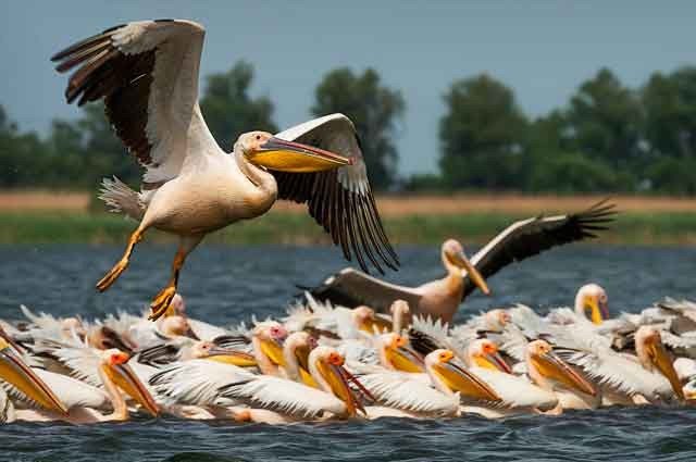 Visit Danube Delta